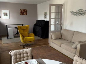 Appartement 70 m² en centre-ville, 2 chambres, cuisine équipée, WiFi, non fumeur, animaux non admis. - FR-1-465-111